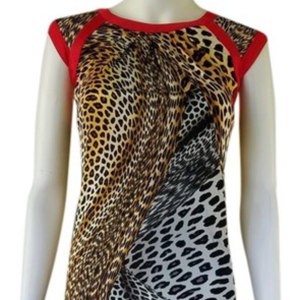 Etcetera Animale Dress Womens Size 2 PERFECT 4 GNO
